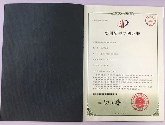 Patent 30
