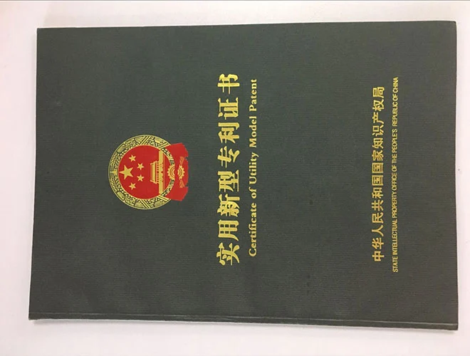 Patent 31